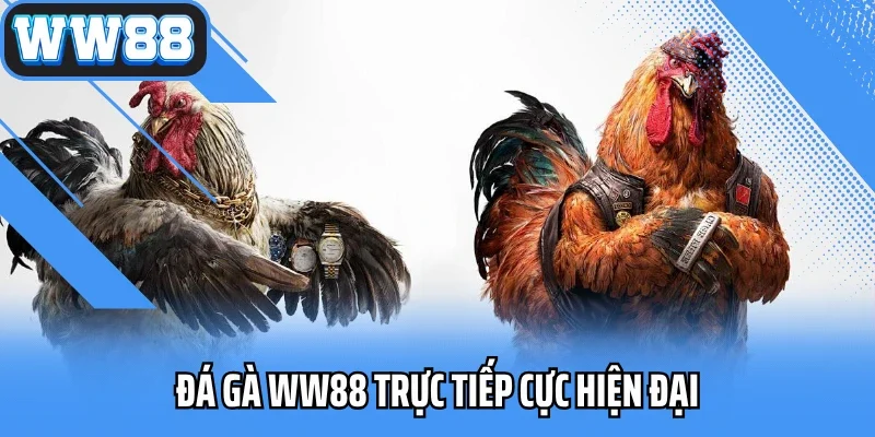Đá gà WW88 trực tiếp cực hiện đại